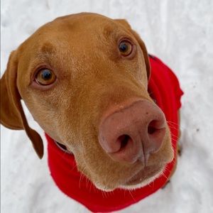 Meet your Posher, Sam